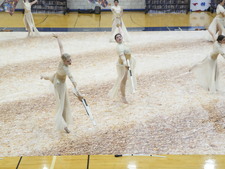 Enlarge photo 339