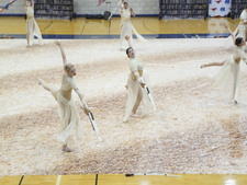 Enlarge photo 341