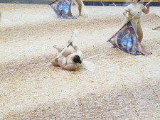 Enlarge photo 411