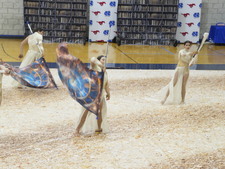 Enlarge photo 479