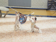 Enlarge photo 513