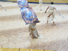 Enlarge photo 531