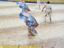 Enlarge photo 532