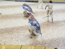 Enlarge photo 533
