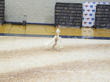 Enlarge photo 679