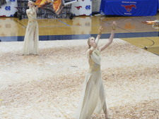 Enlarge photo 1233