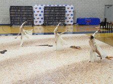 Enlarge photo 1273