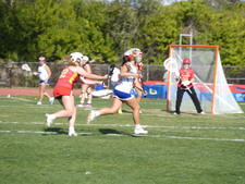 Enlarge photo 61