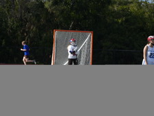 Enlarge photo 142