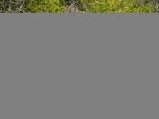 Enlarge photo 143