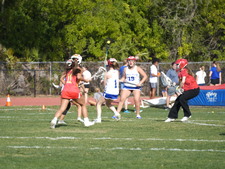 Enlarge photo 163