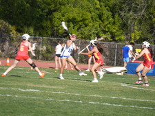 Enlarge photo 182