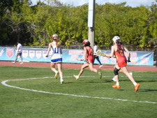Enlarge photo 221
