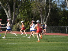 Enlarge photo 229