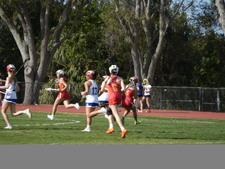 Enlarge photo 231