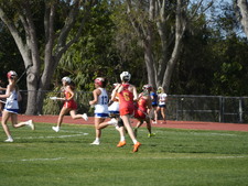 Enlarge photo 233