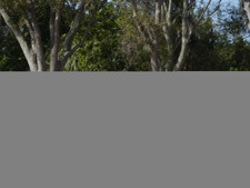 Enlarge photo 230