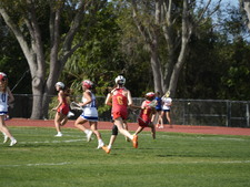 Enlarge photo 232