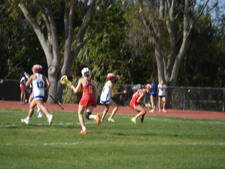 Enlarge photo 237