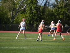 Enlarge photo 238