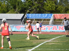 Enlarge photo 264