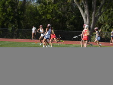 Enlarge photo 309