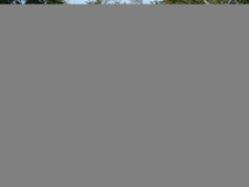 Enlarge photo 308