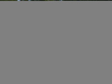 Enlarge photo 349