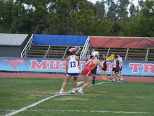 Enlarge photo 485