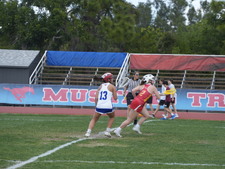 Enlarge photo 486