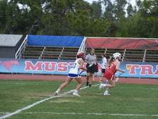 Enlarge photo 490