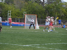 Enlarge photo 522