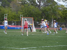 Enlarge photo 529