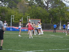 Enlarge photo 543