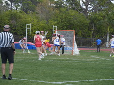 Enlarge photo 544