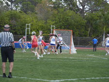 Enlarge photo 545