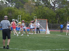 Enlarge photo 549