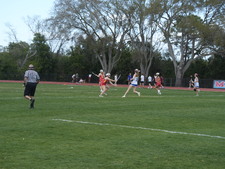 Enlarge photo 569