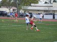 Enlarge photo 1146