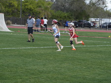 Enlarge photo 1176