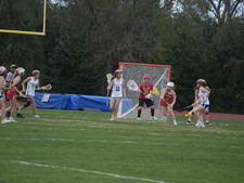 Enlarge photo 1336