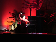 Enlarge photo 411