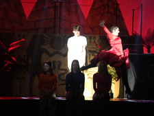 Enlarge photo 427
