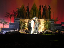 Enlarge photo 427