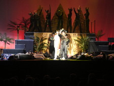 Enlarge photo 429