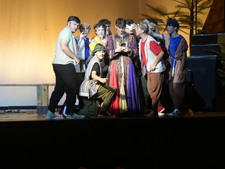 Enlarge photo 244