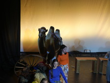 Enlarge photo 208