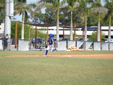 Enlarge photo 541