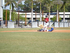 Enlarge photo 564