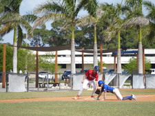 Enlarge photo 592